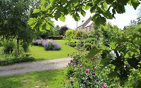 Au Jardin Des Violettes